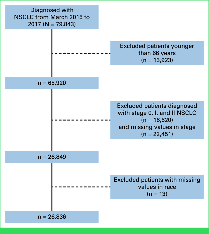 Disparities in Utilization of Immune Checkpoint Inhibitor Therapy Among Older Patients With Advanced Non-Small Cell Lung Cancer: A SEER-Medicare Analysis.