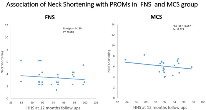 Difference of Neck Shortening in Femoral Neck Fracture between Femoral Neck System and Multiple Cannulated Cancellous Screws: Single Center, Prospective Randomized Controlled Trial.