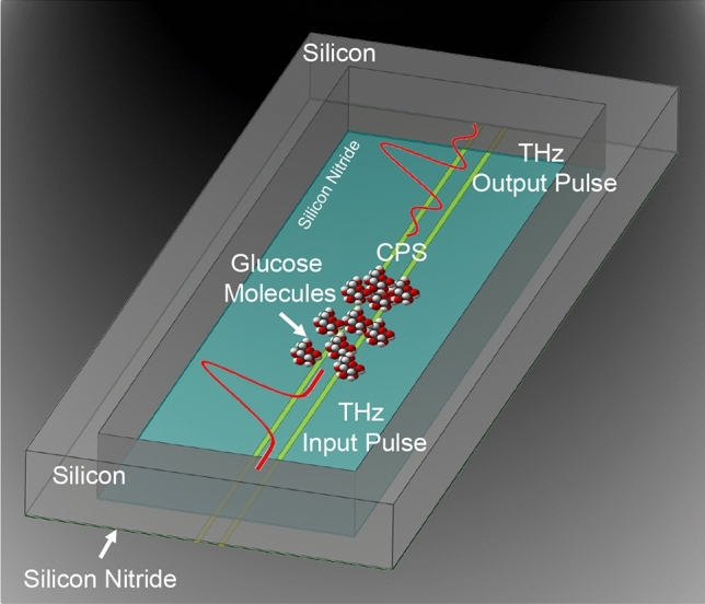 On chip glucose sensing using guided waves at terahertz frequencies.