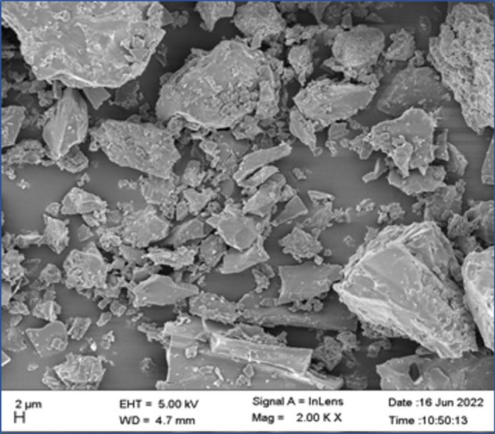 Extraction and chemical characterization of humic acid produced from lignite coals of arid region of Gujarat, Western India.