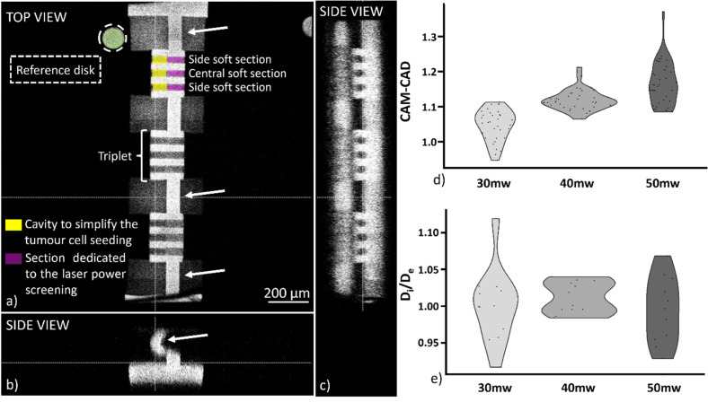 On-chip fabrication of tailored 3D hydrogel scaffolds to model cancer cell invasion and interaction with endothelial cells.