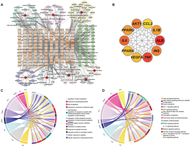 Study on the anti-atherosclerosis mechanisms of Tanyu Tongzhi formula based on network pharmacology, Mendelian randomization, and experimental verification.