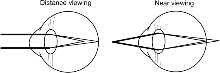 Abstract Image