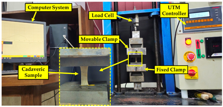 Development of Biofidelic Skin Simulants Based on Fresh Cadaveric Skin Tests.