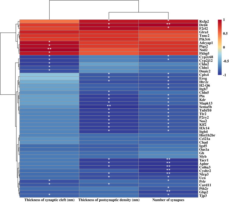 Synaptic Structure and Transcriptomic Profiling of Reward and Sensory Brain Areas in Male Mice of Fentanyl Addiction.