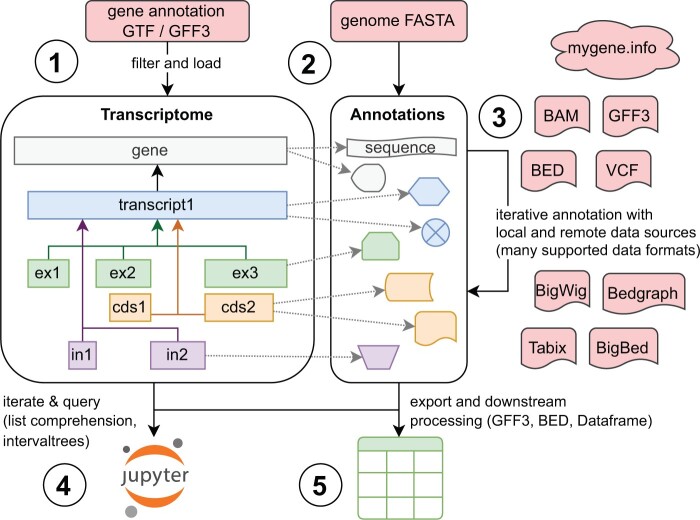 Rnalib: a Python library for custom transcriptomics analyses.