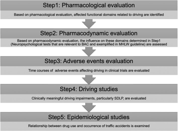Effects of frequently prescribed antiseizure medications on motor vehicle driving performance: Narrative review based on a tiered approach for the assessment of clinically meaningful driving impairment in the Ministry of Health, Labour, and Welfare guideline.