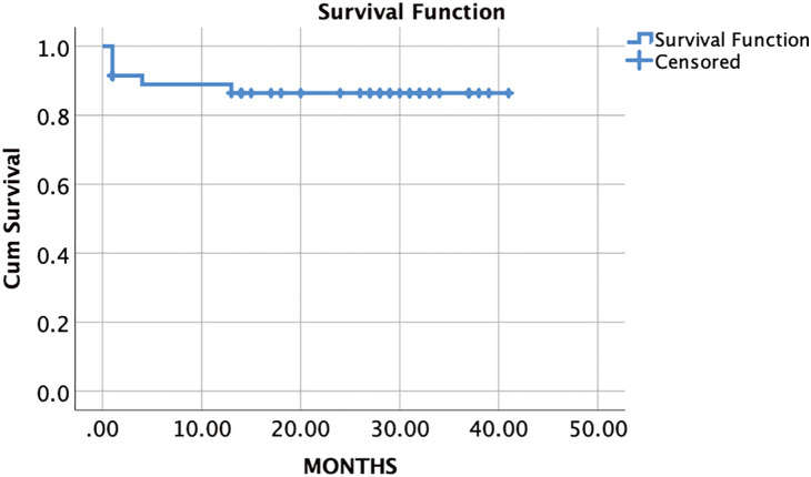 Preliminary and Intermediate-Term Results of the Novel Modification of Frozen Elephant Trunk: A Single-Center Study.