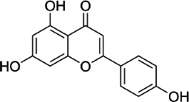 Flavonoids from <i>Clerodendrum</i> genus and their biological activities.
