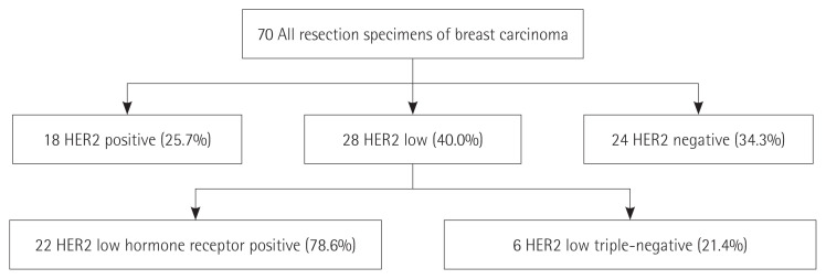 Exploring the clinicopathological parameters of HER2 low breast cancers: insights from a retrospective cohort study.