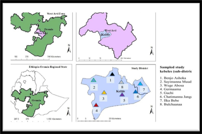 Consumption of wild edible plants in the Kofale and Heban-Arsi districts, West Arsi Zone, Oromia Regional State, Ethiopia.