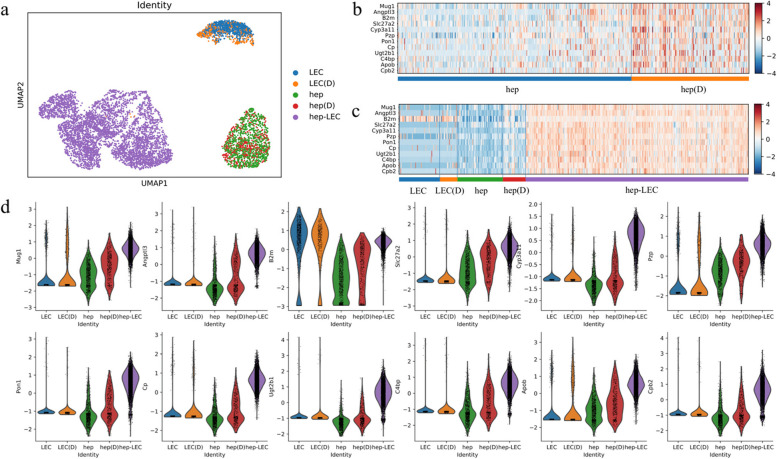 DeepDoublet identifies neighboring cell-dependent gene expression.