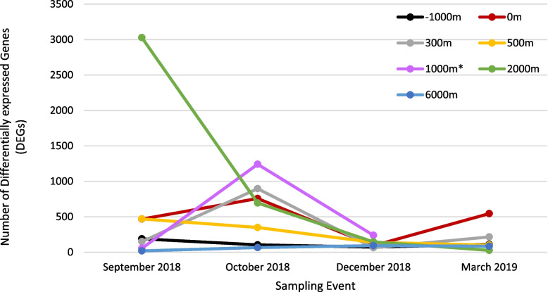 Insights into the transcriptomic responses of silver-lipped pearl oysters Pinctada maxima exposed to a simulated large-scale seismic survey.