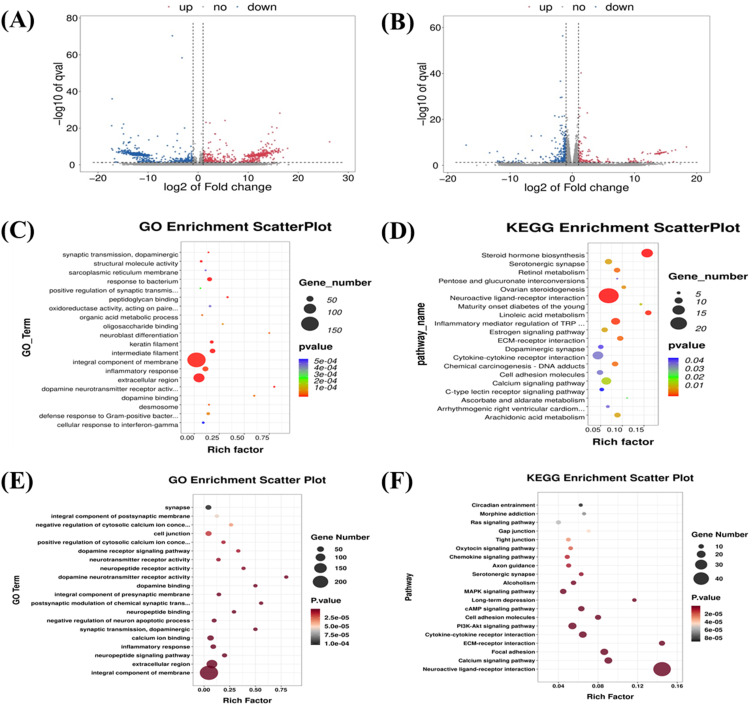 Synaptic Structure and Transcriptomic Profiling of Reward and Sensory Brain Areas in Male Mice of Fentanyl Addiction.