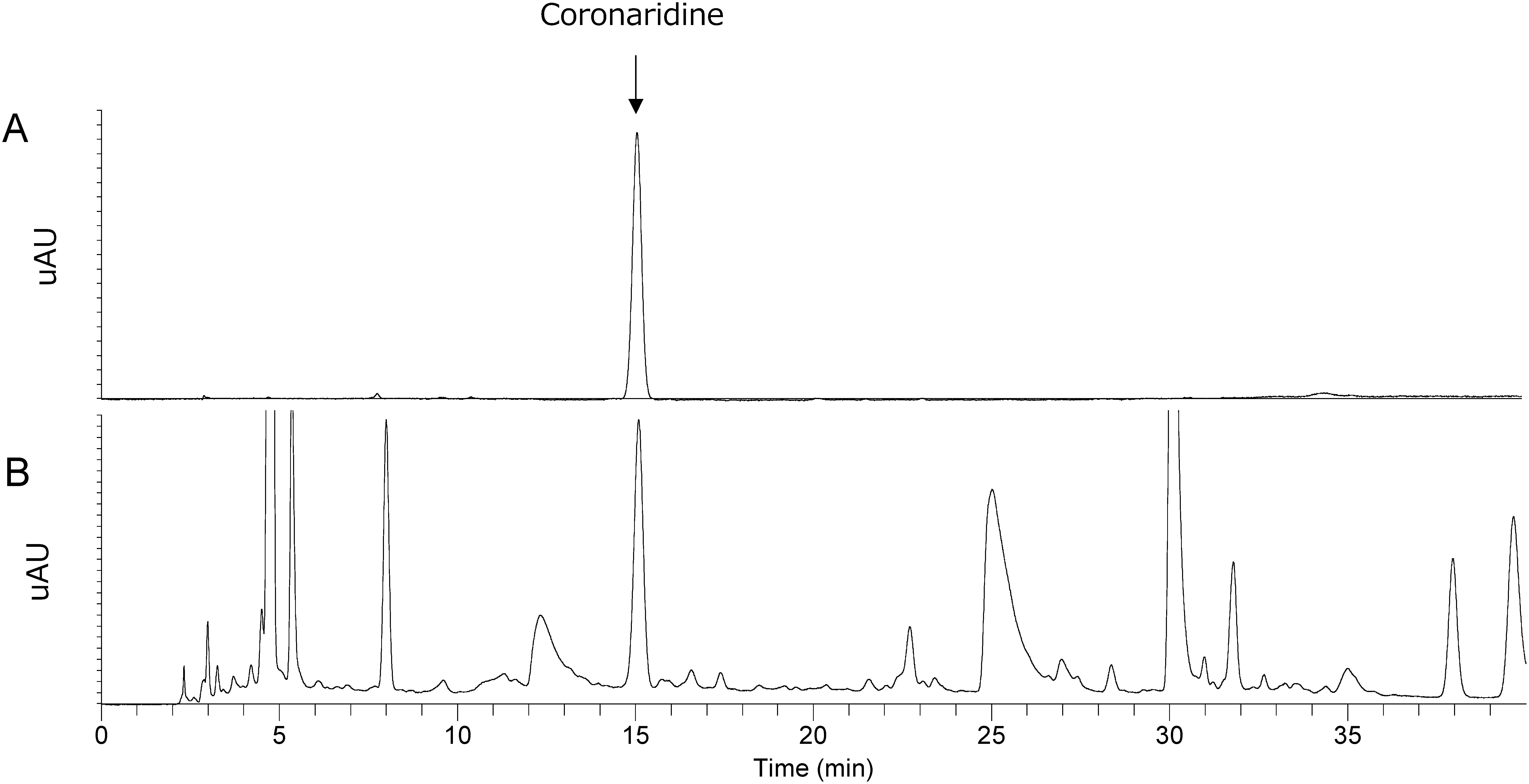 Analysis and characteristics of coronaridine, an alkaloid found in <i>Catharanthus roseus</i>.
