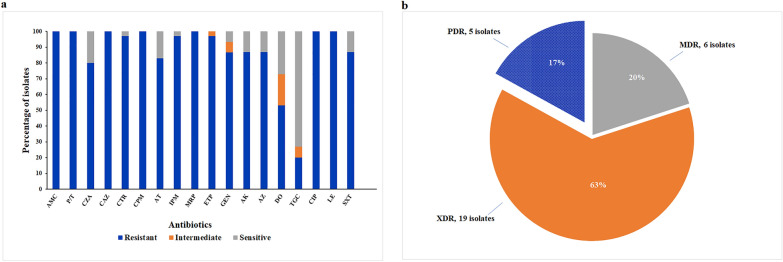 Efficacy of colistin-based combinations against pandrug-resistant whole-genome-sequenced Klebsiella pneumoniae isolated from hospitalized patients in Egypt: an in vitro/vivo comparative study.