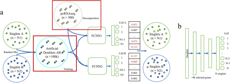 DeepDoublet identifies neighboring cell-dependent gene expression.