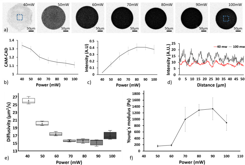 On-chip fabrication of tailored 3D hydrogel scaffolds to model cancer cell invasion and interaction with endothelial cells.
