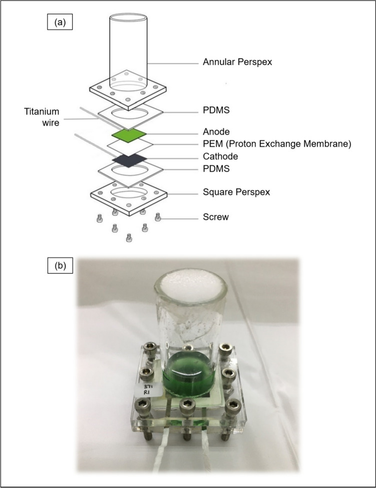Evaluation of selected tropical marine microalgal cultures for use in biophotovoltaic platforms.