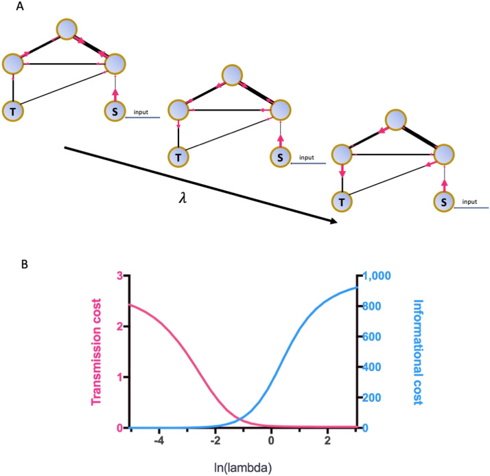 Patterns of the left thalamus embedding into the connectome associated with reading skills in children with reading disabilities.