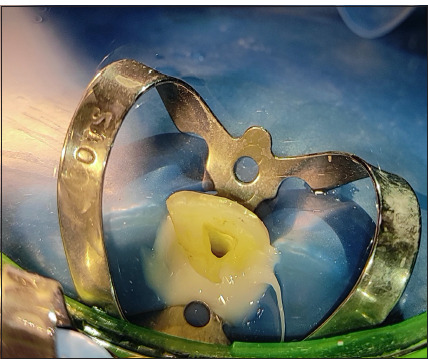 Abstract Image