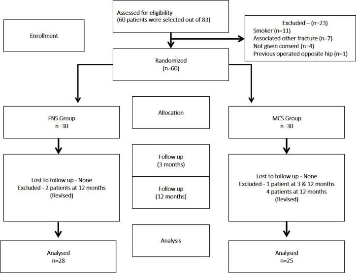 Difference of Neck Shortening in Femoral Neck Fracture between Femoral Neck System and Multiple Cannulated Cancellous Screws: Single Center, Prospective Randomized Controlled Trial.