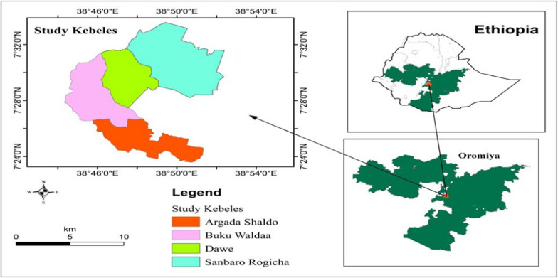 Consumption of wild edible plants in the Kofale and Heban-Arsi districts, West Arsi Zone, Oromia Regional State, Ethiopia.