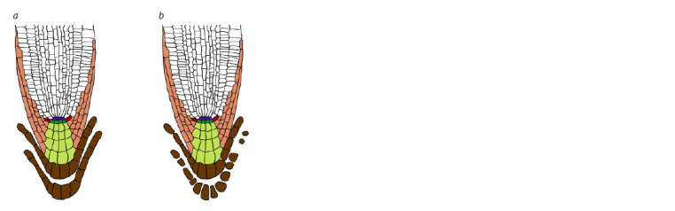 Abstract Image