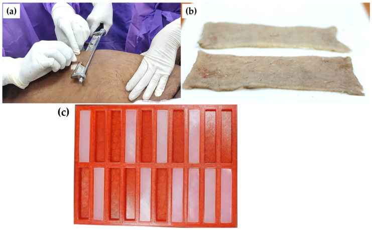 Development of Biofidelic Skin Simulants Based on Fresh Cadaveric Skin Tests.
