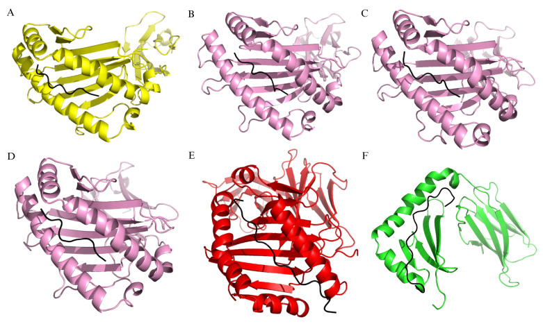 Design of multi-epitope-based therapeutic vaccine candidates from HBc and HBx proteins of hepatitis B virus using reverse vaccinology and immunoinformatics approaches.