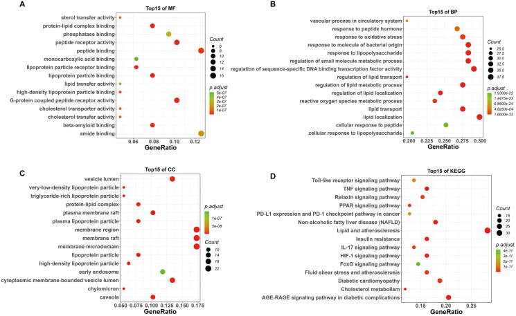 Study on the anti-atherosclerosis mechanisms of Tanyu Tongzhi formula based on network pharmacology, Mendelian randomization, and experimental verification.