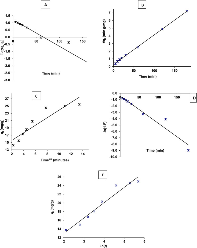 Green synthesis of zinc oxide nanoparticles using Padina pavonica extract for efficient photocatalytic removal of methylene blue.
