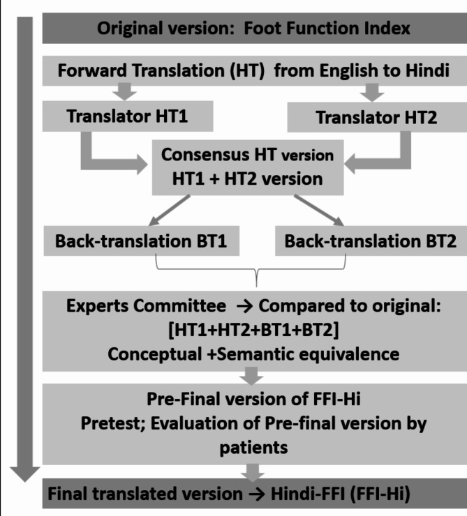 Cross cultural adaptation and validation of the Hindi version of foot function index.