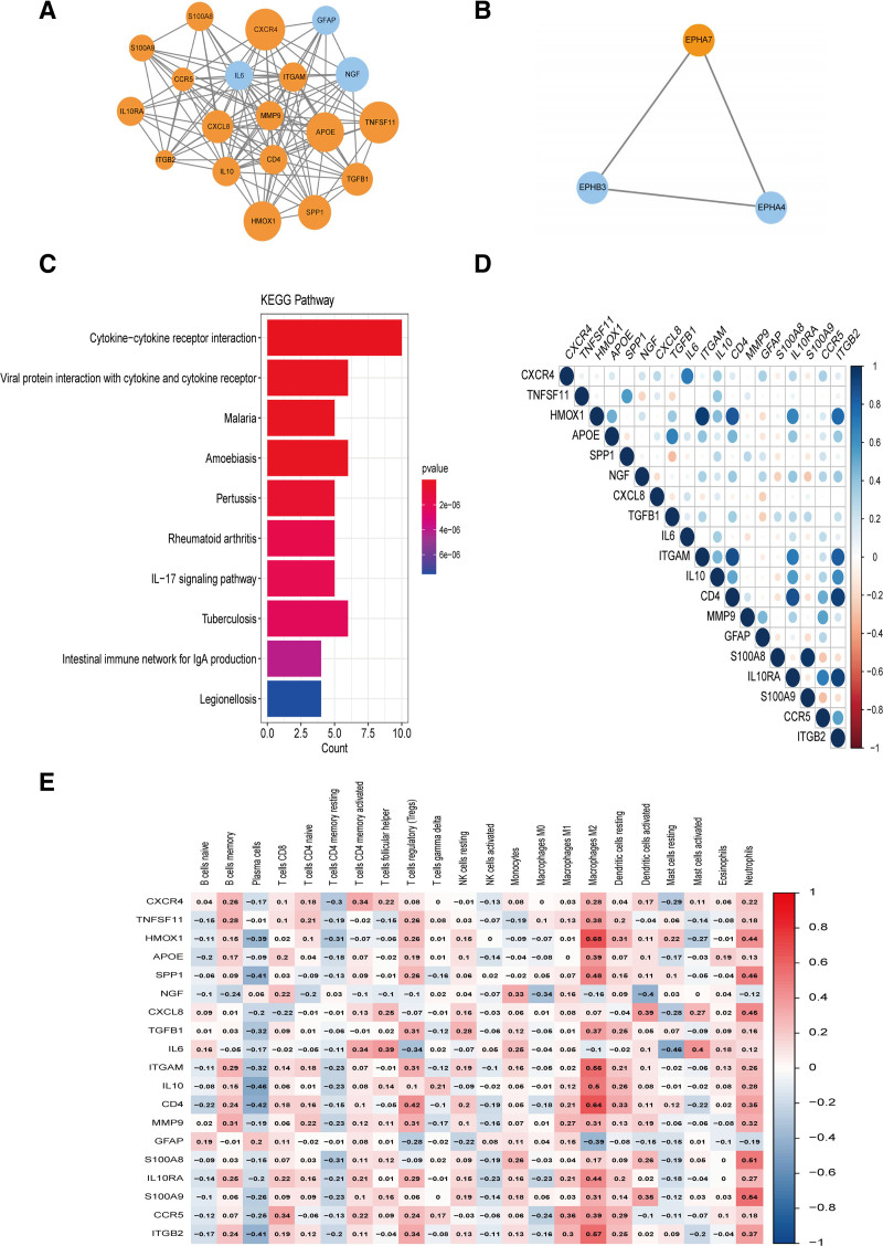 Identification and validation of autophagy-related genes and exploration of their relationship with disease severity in chronic rhinosinusitis with nasal polyps.