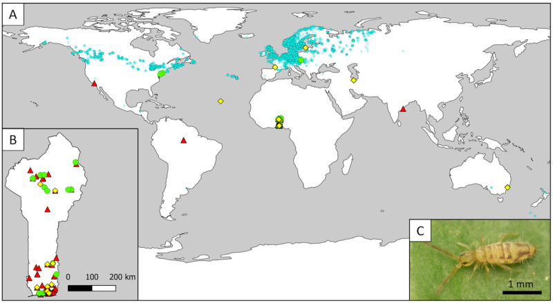 In the Shadow of Medicine: The Glaring Absence of Occurrence Records of Human-Hosted Biodiversity.