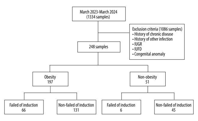 Association Between Pre-Pregnancy Body Mass Index and Labor Induction Success Rates: A Case Control Study.