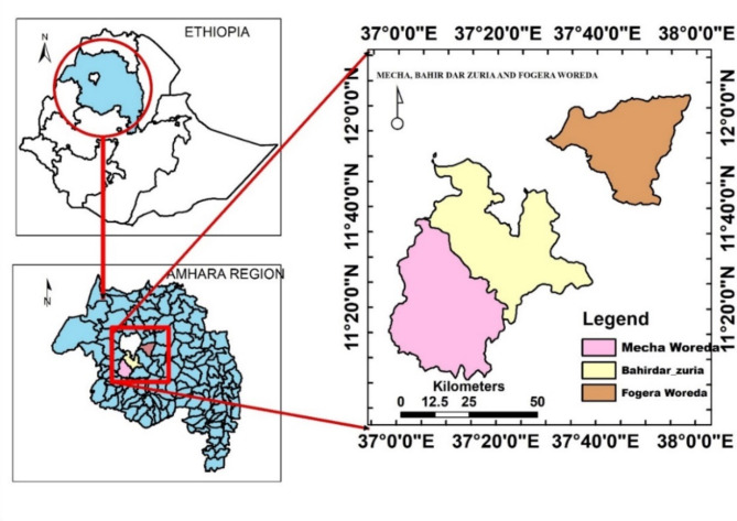 Influence of cultivar and plant density on the growth, bulb yield and quality traits of onion (Allium cepa L.).