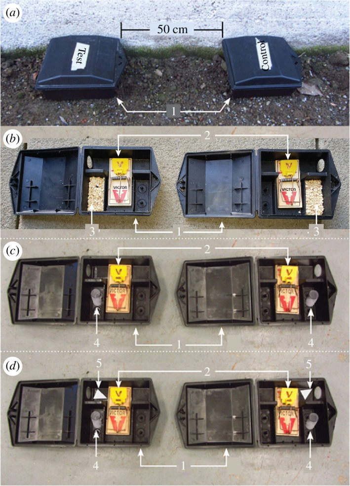 Identification and field testing of sex-attractant semiochemicals produced by male deer mice, <i>Peromyscus maniculatus</i>.