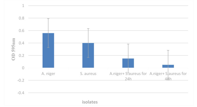 Study of the antagonistic relationship between gene expression biofilm of <i>Aspergillus niger</i> and <i>Staphylococcus aureus</i> that cause otomycosis.