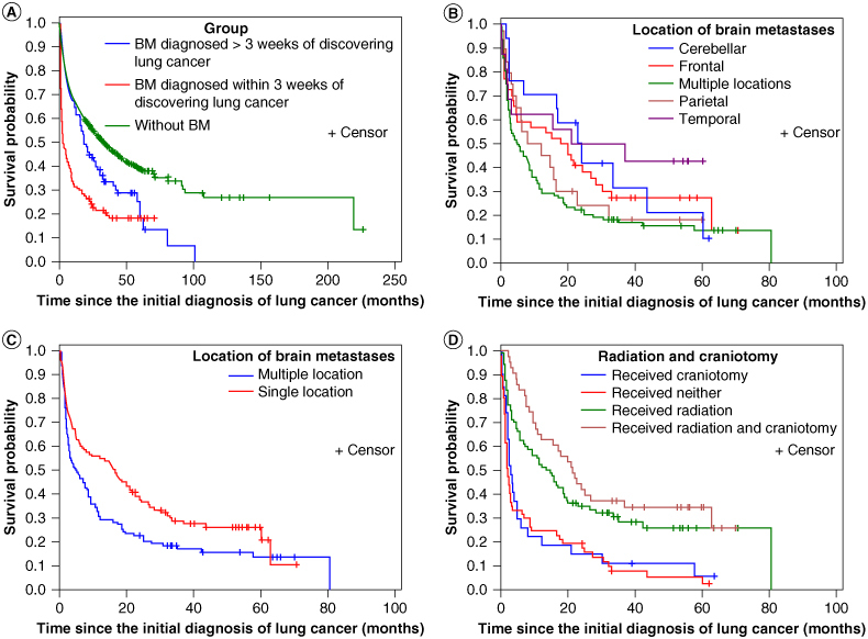 Development of brain metastases in non-small-cell lung cancer: high-risk features.