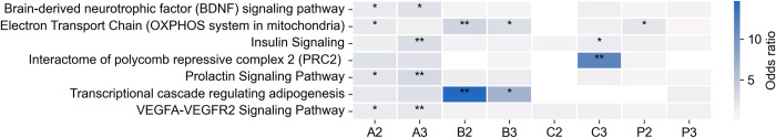 Molecular monitoring of short- and long-term transcriptional effects of hair growth stimulating agents.