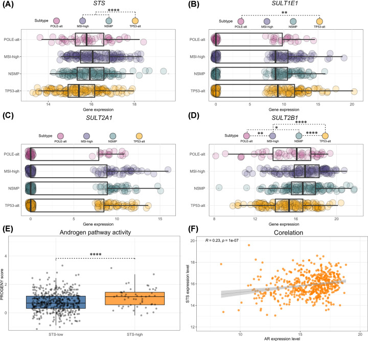 Steroid sulfatase and sulfotransferases in the estrogen and androgen action of gynecological cancers: current status and perspectives.