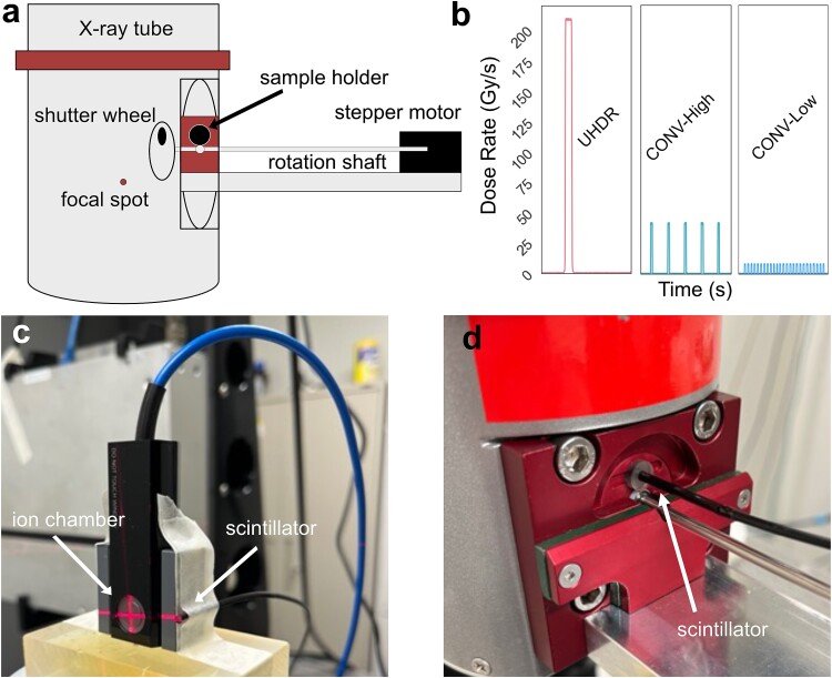 High-throughput, low-cost FLASH: irradiation of Drosophila melanogaster with low-energy X-rays using time structures spanning conventional and ultrahigh dose rates.