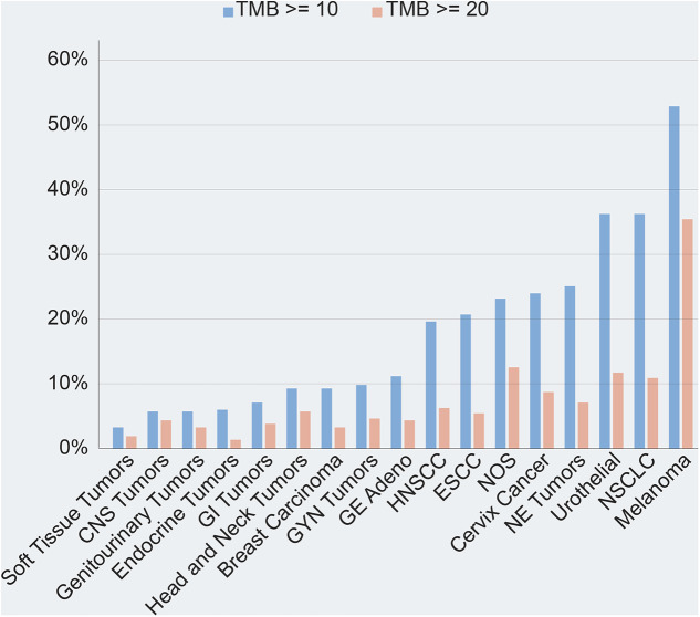 The challenges and opportunities of applying tumour mutational burden analysis to precision cancer medicine.