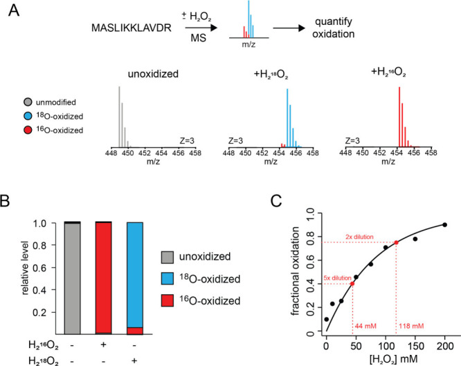 Enzymatic Synthesis of Isotopically Labeled Hydrogen Peroxide for Mass Spectrometry-Based Applications.