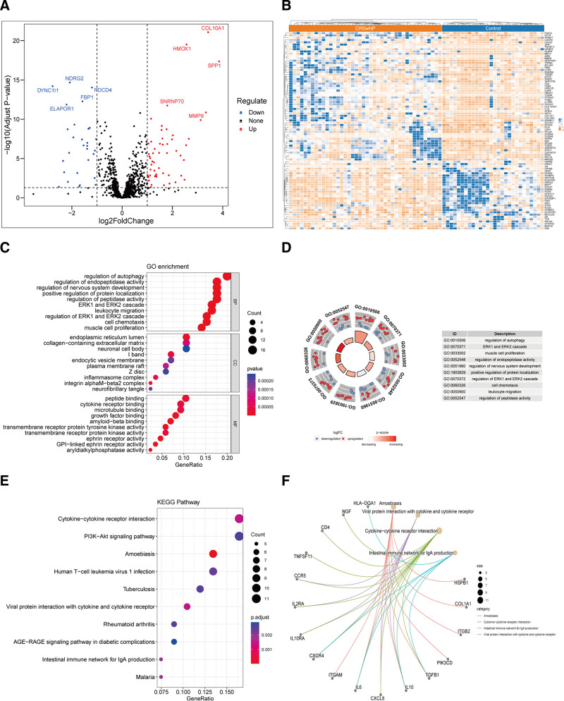 Identification and validation of autophagy-related genes and exploration of their relationship with disease severity in chronic rhinosinusitis with nasal polyps.