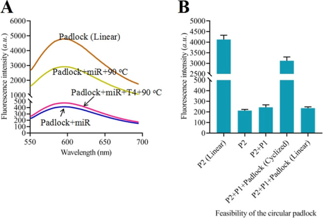Circle Padlock-Mediated Catalytic Hairpin Assembly Cooperating Primer Exchange Reaction for Sensitive and Label-Free MicroRNA Detection.