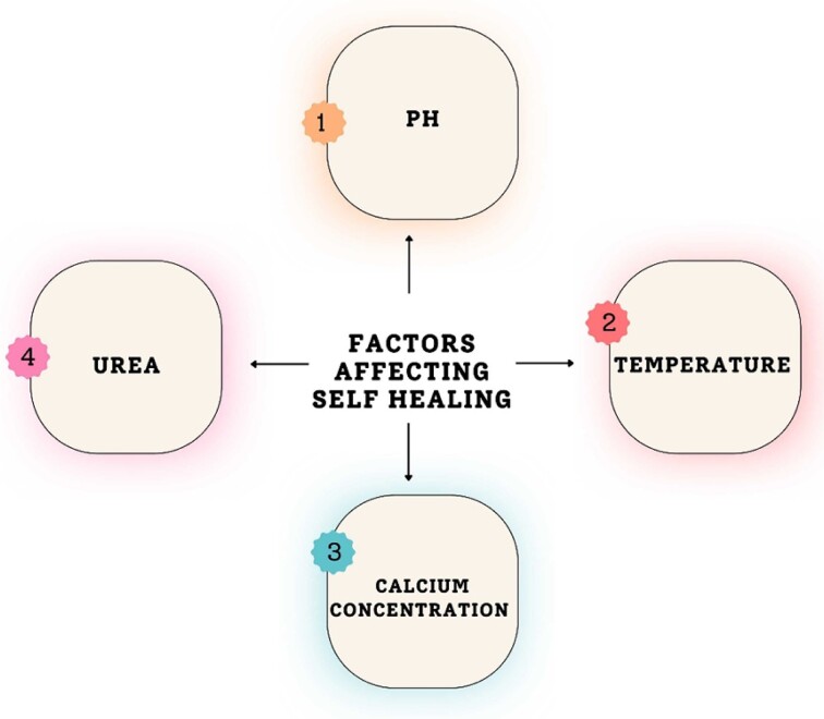 Bacteria-powered self-healing concrete: Breakthroughs, challenges, and future prospects.