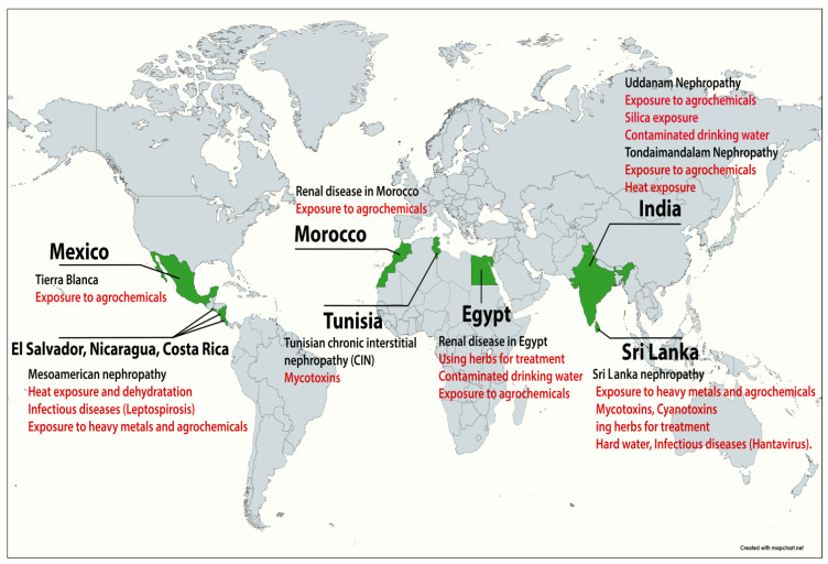 Chronic Kidney Disease of Unknown Etiology: A Global Health Threat in Rural Agricultural Communities-Prevalence, Suspected Causes, Mechanisms, and Prevention Strategies.