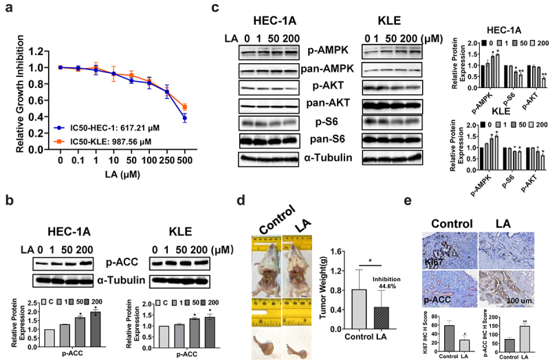 Linoleic acid exhibits anti-proliferative and anti-invasive activities in endometrial cancer cells and a transgenic model of endometrial cancer.